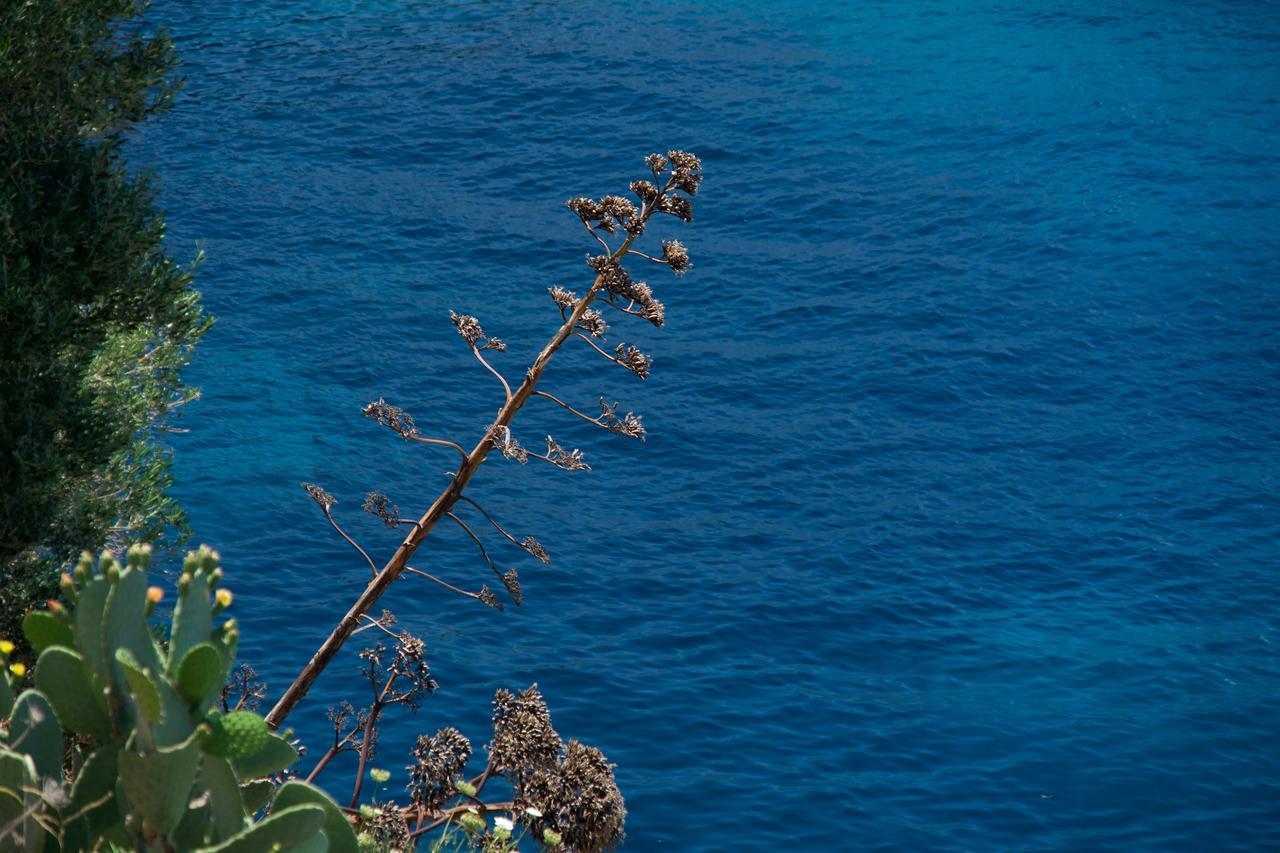 Villa Apoplous With Pool Asos Exteriér fotografie